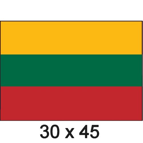Flagge Gastland Litauen 30x45