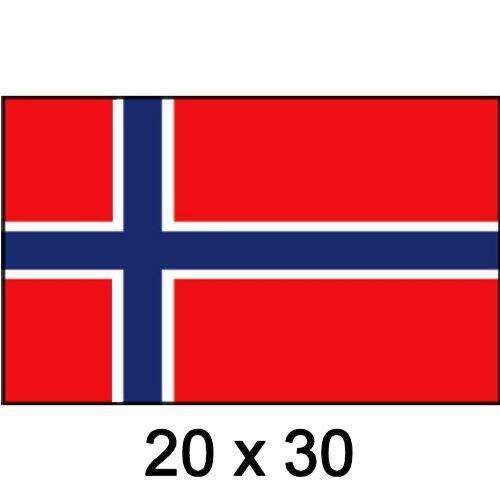 Flagge Gastland Norwegen 20 x 30