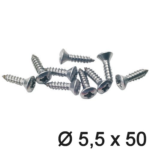 Linsensenkkopf 5,5 (Knipping DIN 7983) 50mm