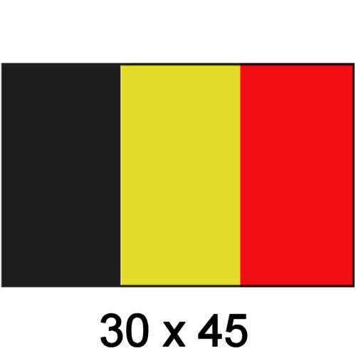 Flagge Gastland Belgien 30x45