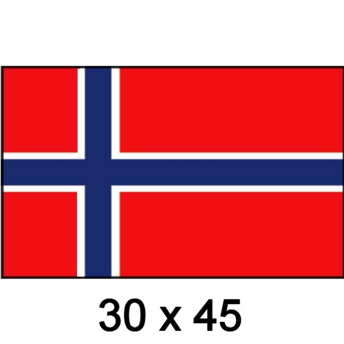 Flagge Gastland Norwegen 30x 45