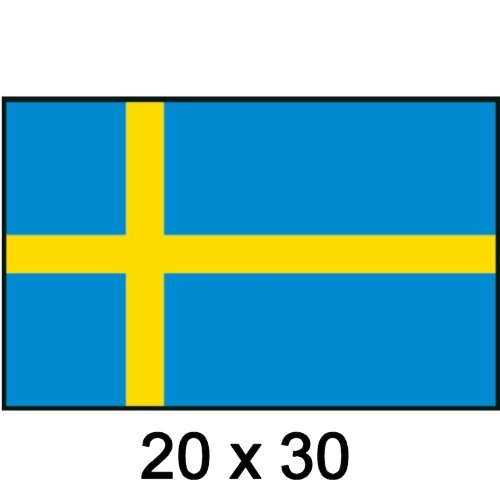 Flagge Gastland Schweden 20x30