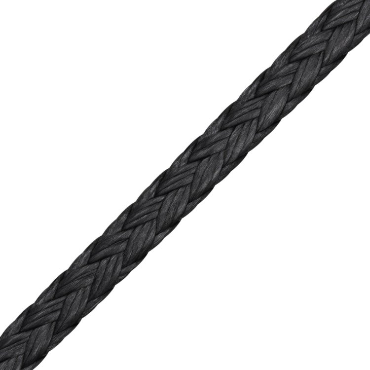 Leine Liros D-Pro tiefschwarz