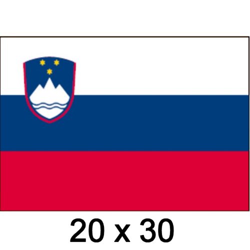 Flagge Gastland Slowenien 20x30