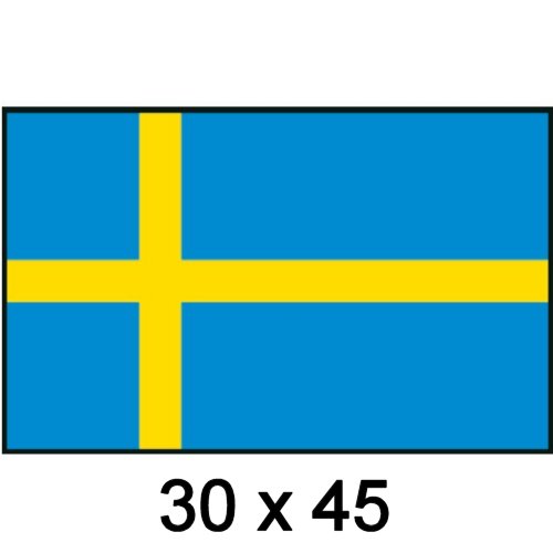 Flagge Gastland Schweden 30x45