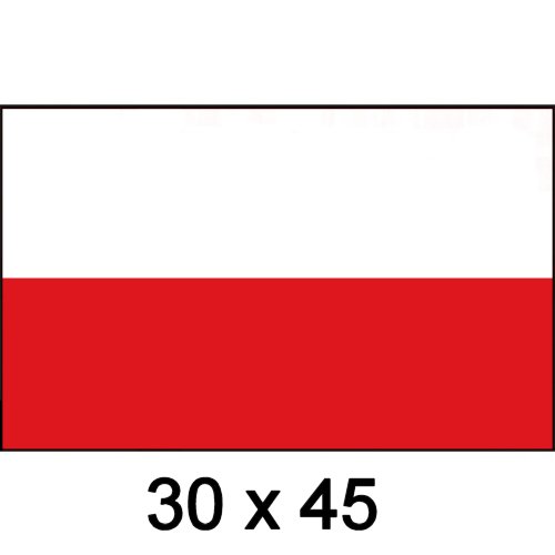Flagge Gastland Polen 30x45