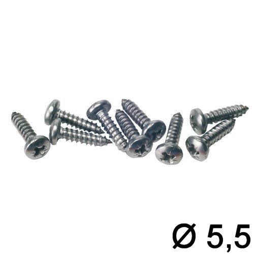 Zylinderkopf 5,5 (Knipping DIN 7981)