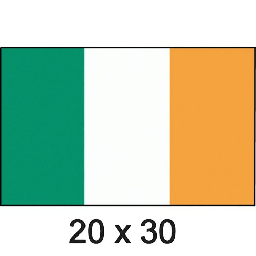 Flagge Gastland Irland 20x30